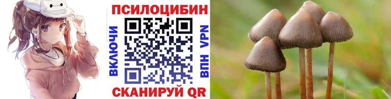мега ссылка  закладки  Камызяк  Псилоцибиновые грибы Psilocybine cubensis 